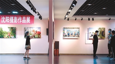 沈阳30位驻村“第一书记”成主角，乡村振兴展览展现责任与担当